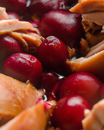 Tangy Slow Cooker Cranberry Balsamic Chicken Recipe Delight